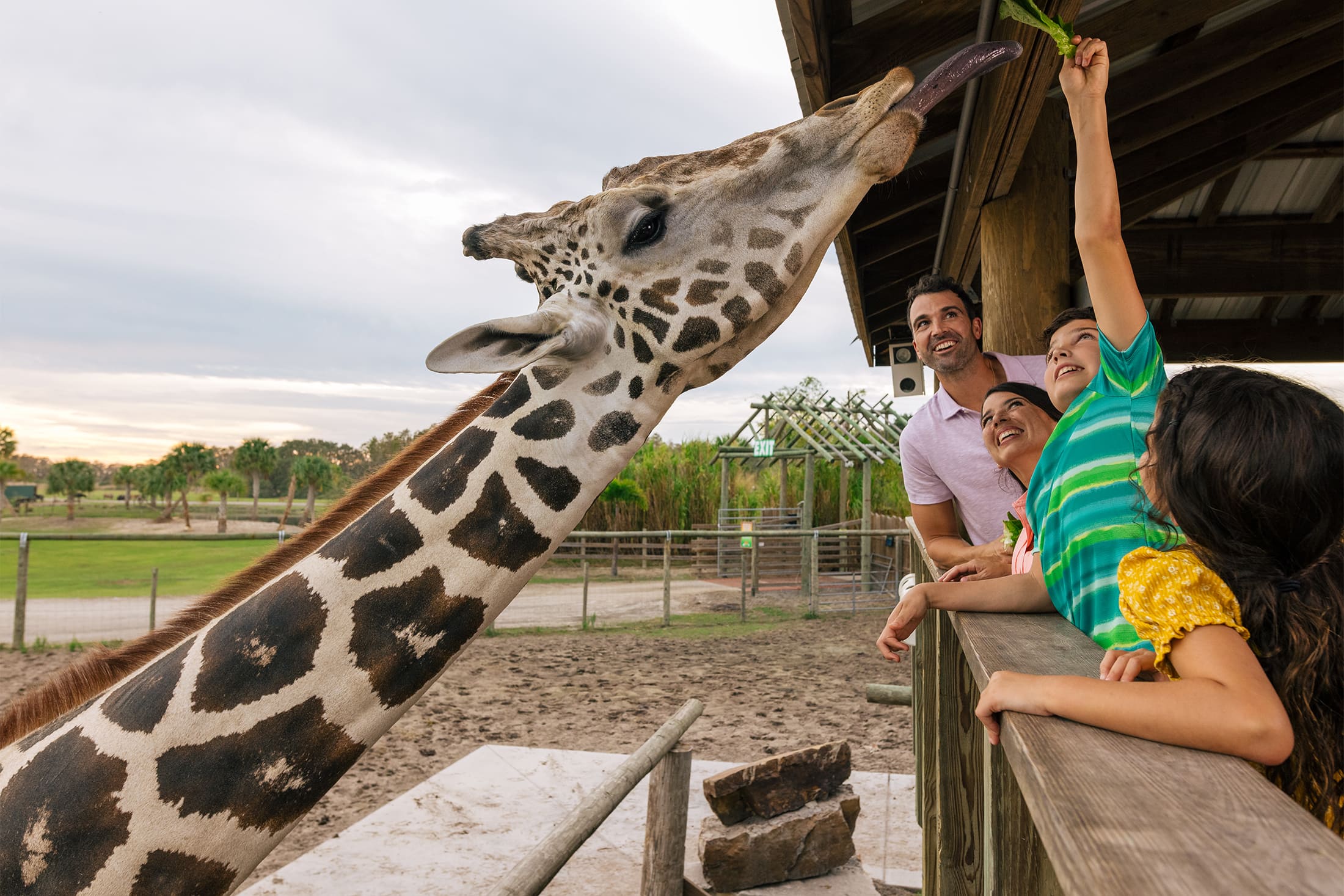 Kissimmee: parques, experiências e gastronomia além do óbvio