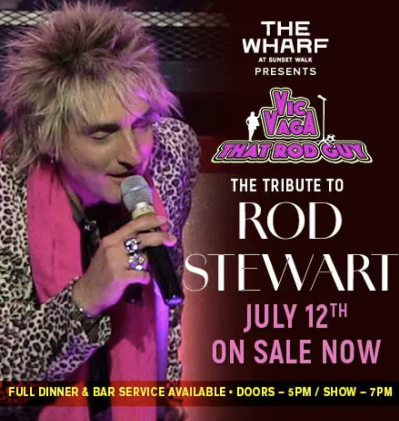 Image 1 of Event: Vic Vaga: Tribute to Rod Stewart