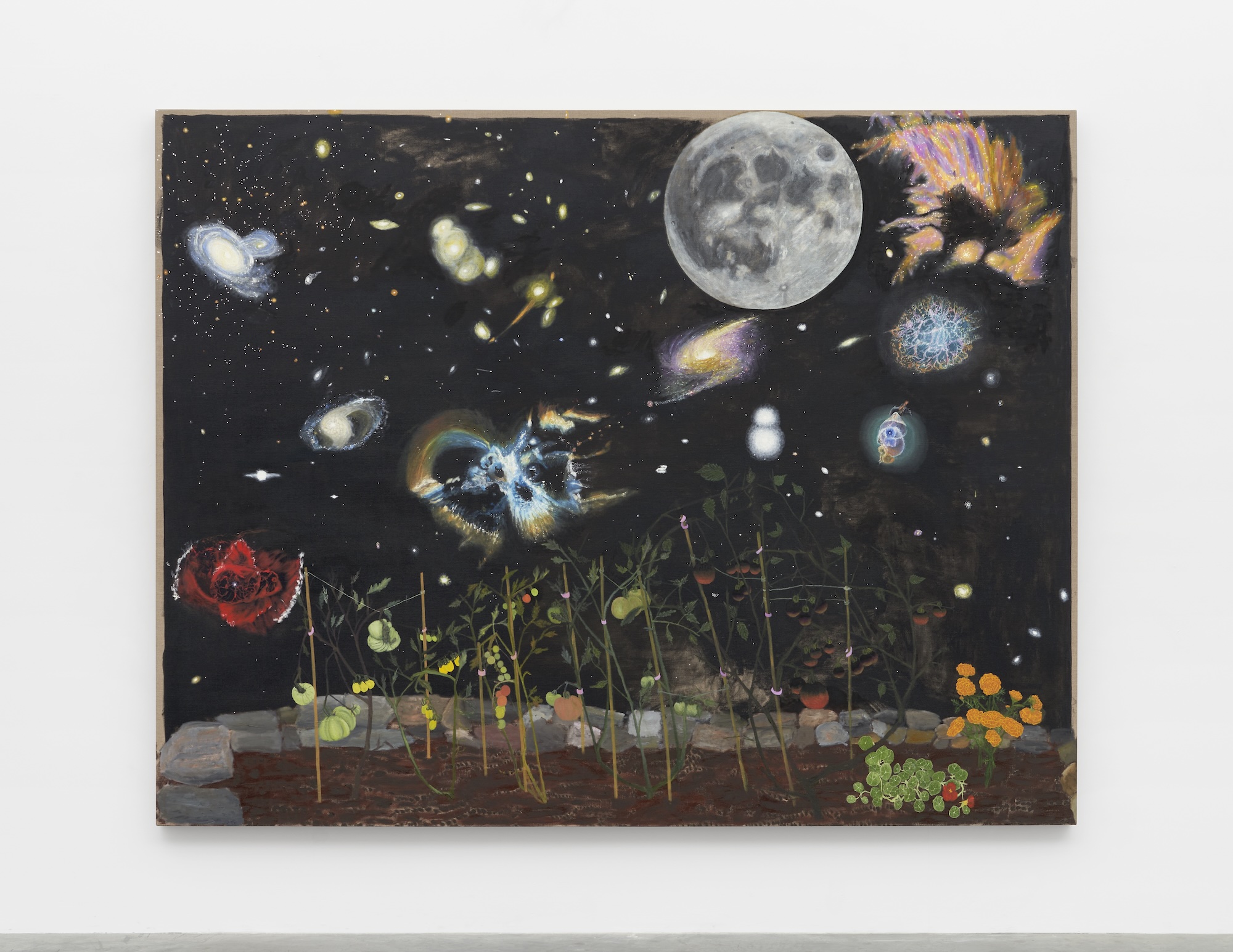 Image 1 of Event: The Captivating Unknown: Charting Our Relationship with the Cosmos