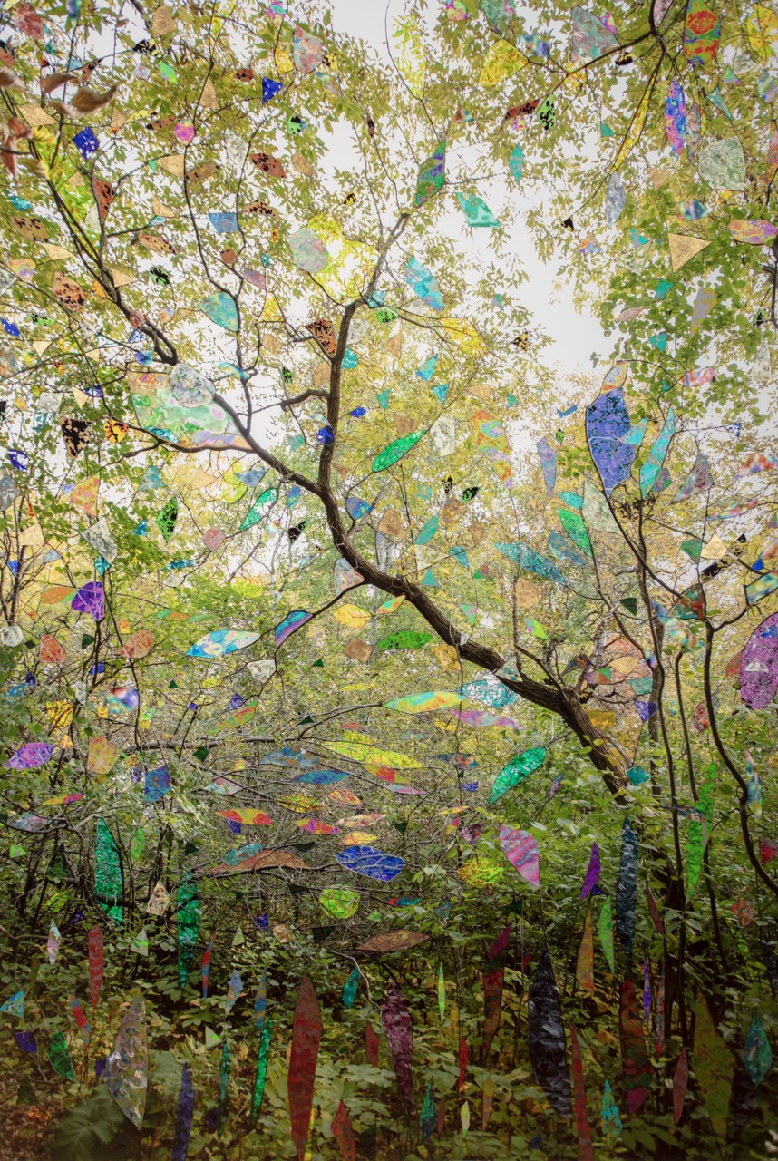 Image 1 of Event: “I remember when...” Reflections from the RMA Staff