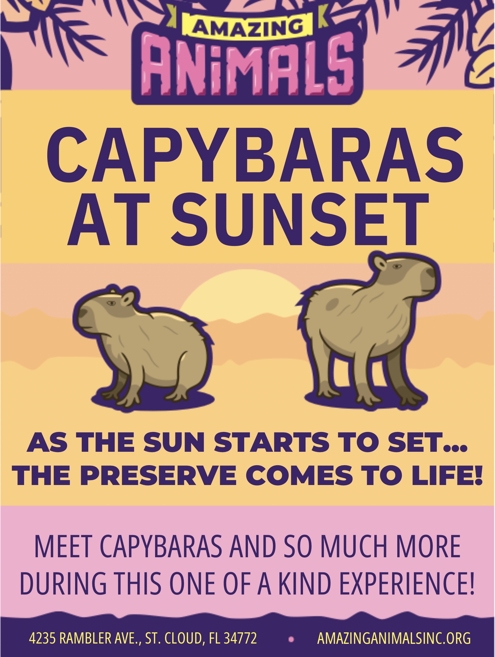 Image 1 of Event: Capybara's at Sunset