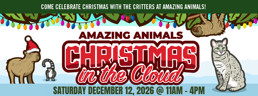 Image 1 of Event: Christmas in the Cloud