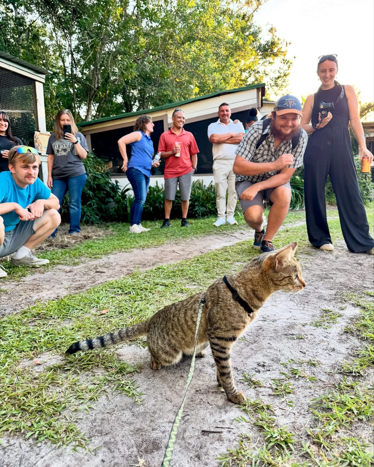 Image 1 of Event: Wild Cat Weekend