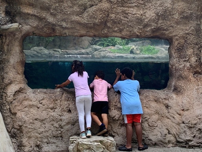 Image 1 of Event: Free admission for kids at the Central Florida Zoo 