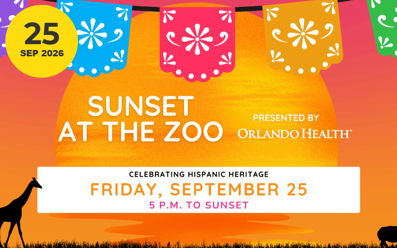 Image 1 of Event: Sunset at the Zoo: Celebrating Hispanic Heritage