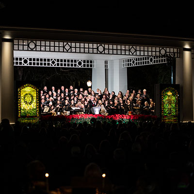 Image 1 of Event: Christmas In The Park