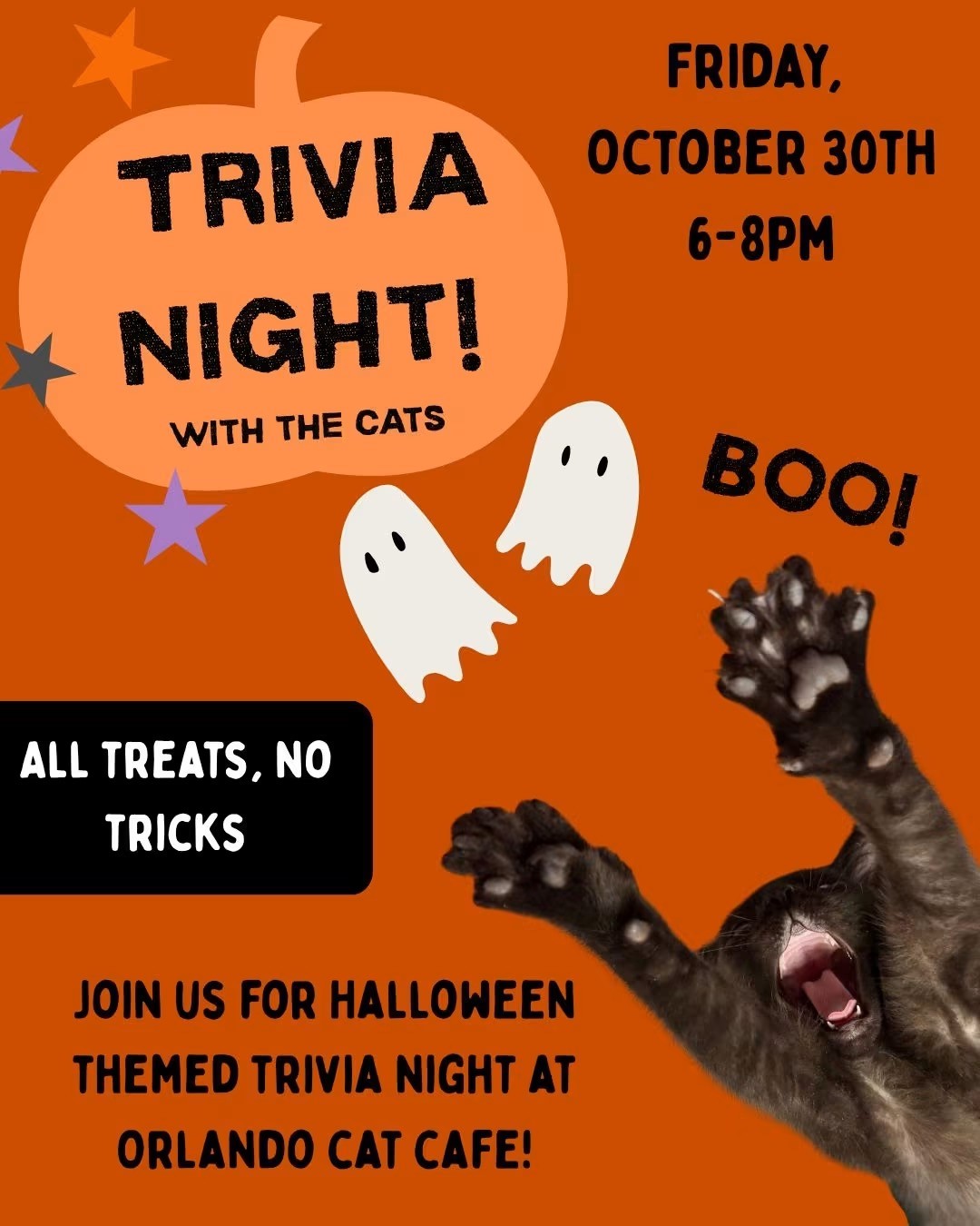 Image 1 of Event: Trivia Night with the Kitties