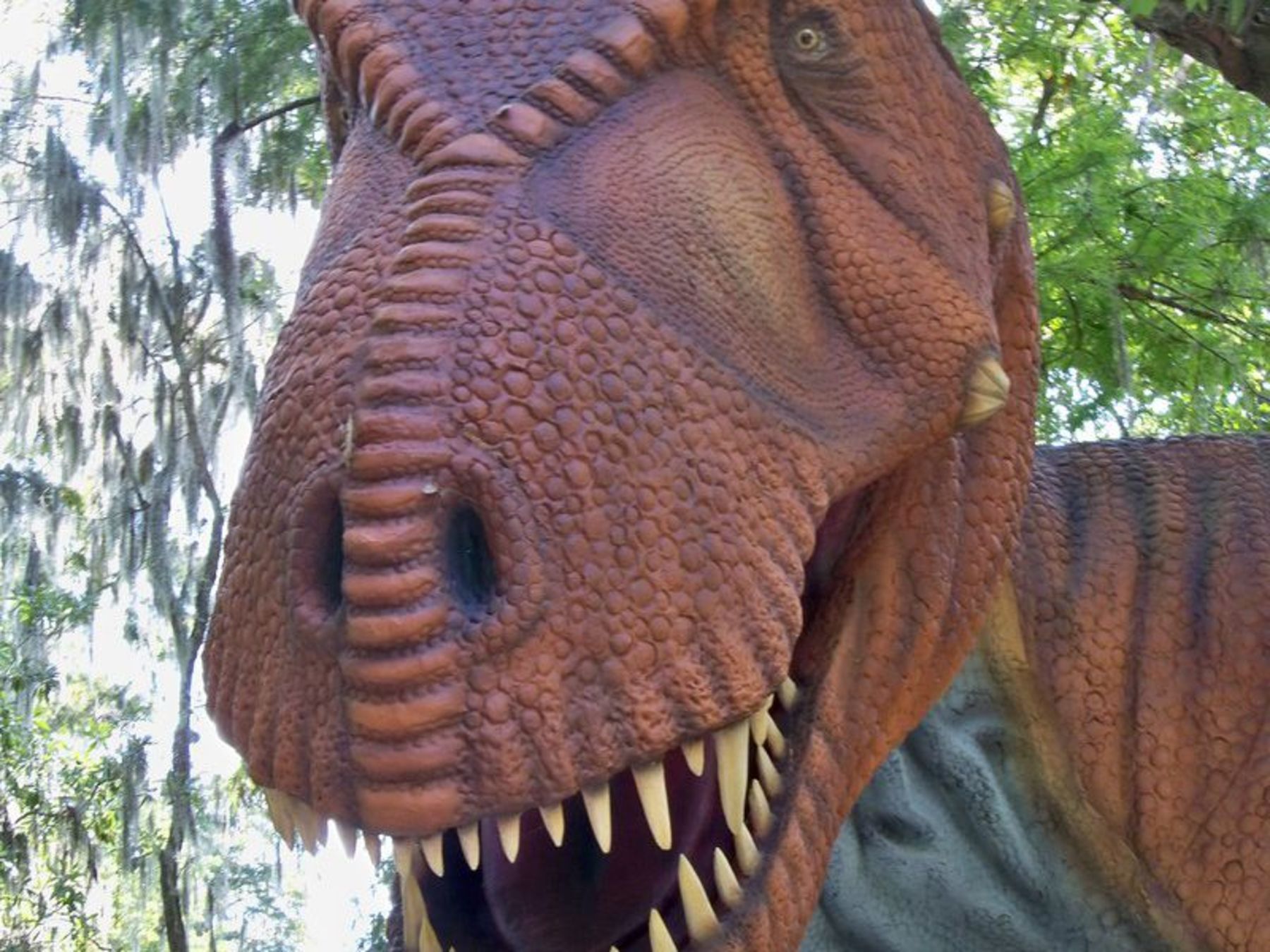 Interact with the Dinosaurs