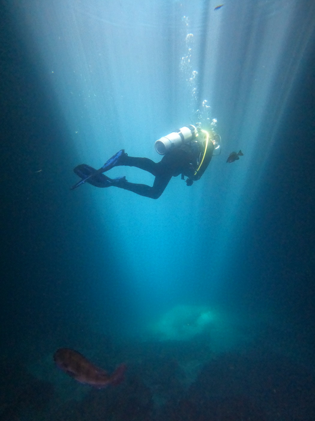 Ari Gunzburg Scuba Diving in FL