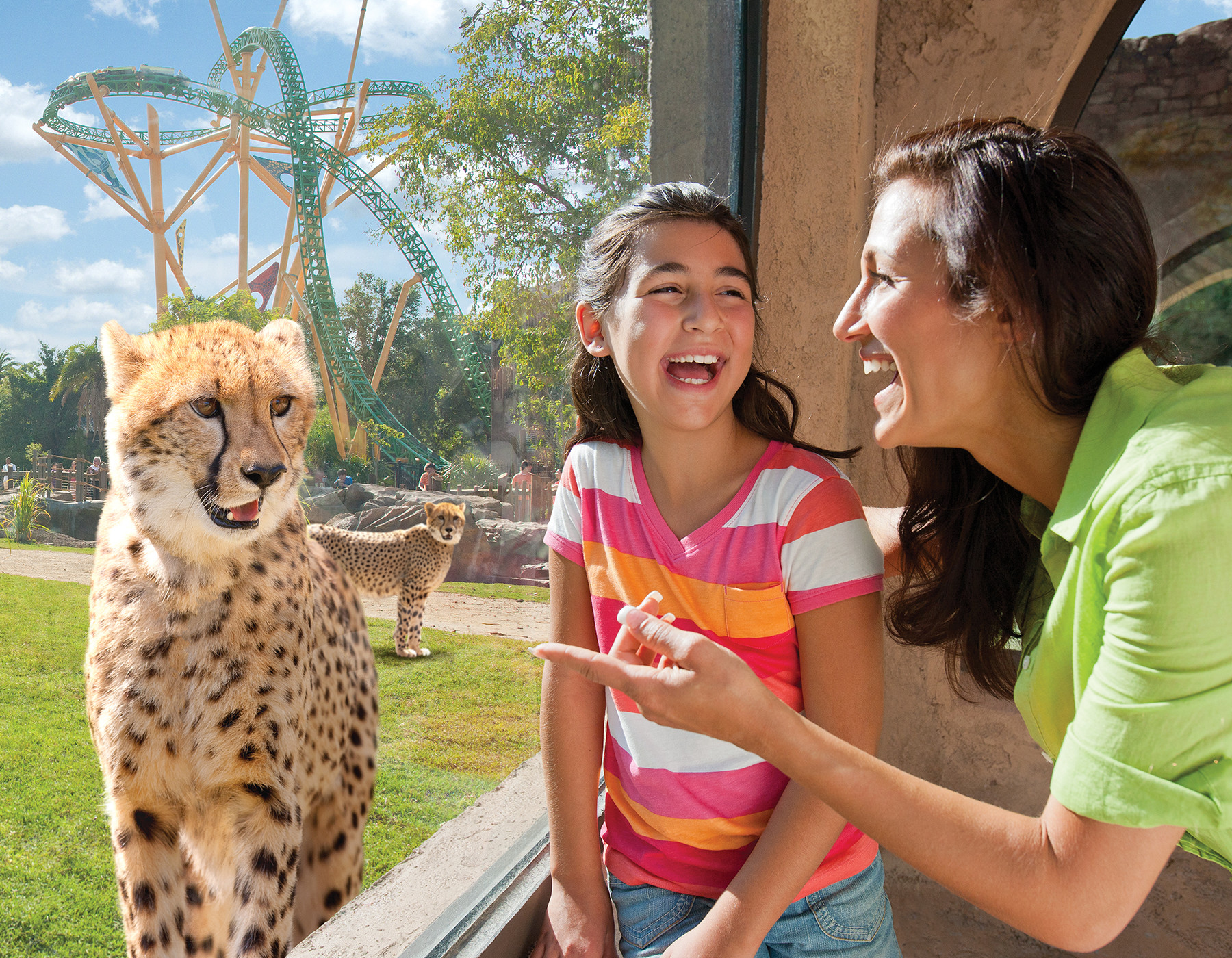 Family With Cheetah