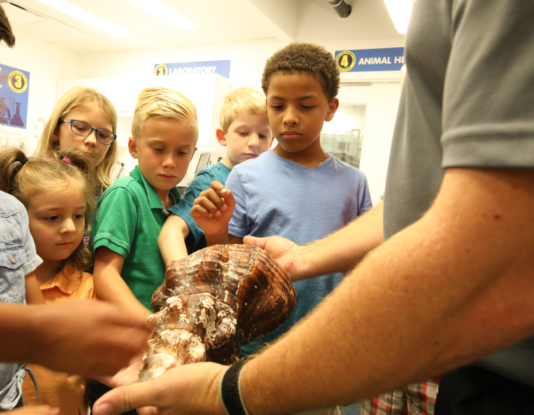 Behind the Scenes at SEA LIFE Orlando Aquarium