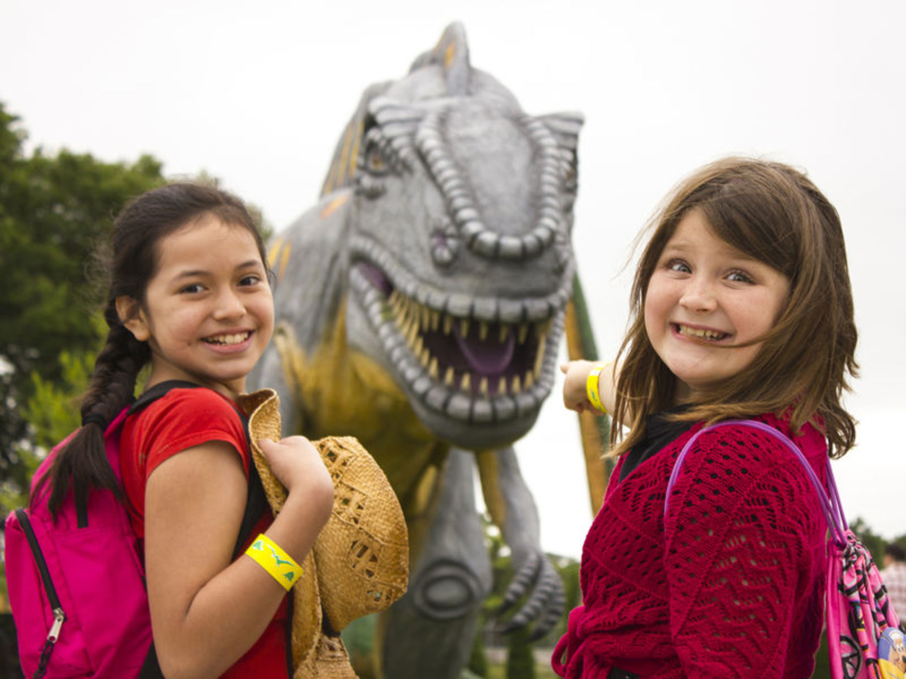 Believe Your Eyes Dinosaur