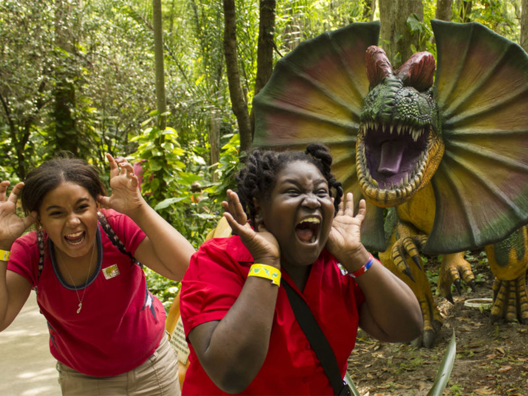 Find Your Inner Dinosaur