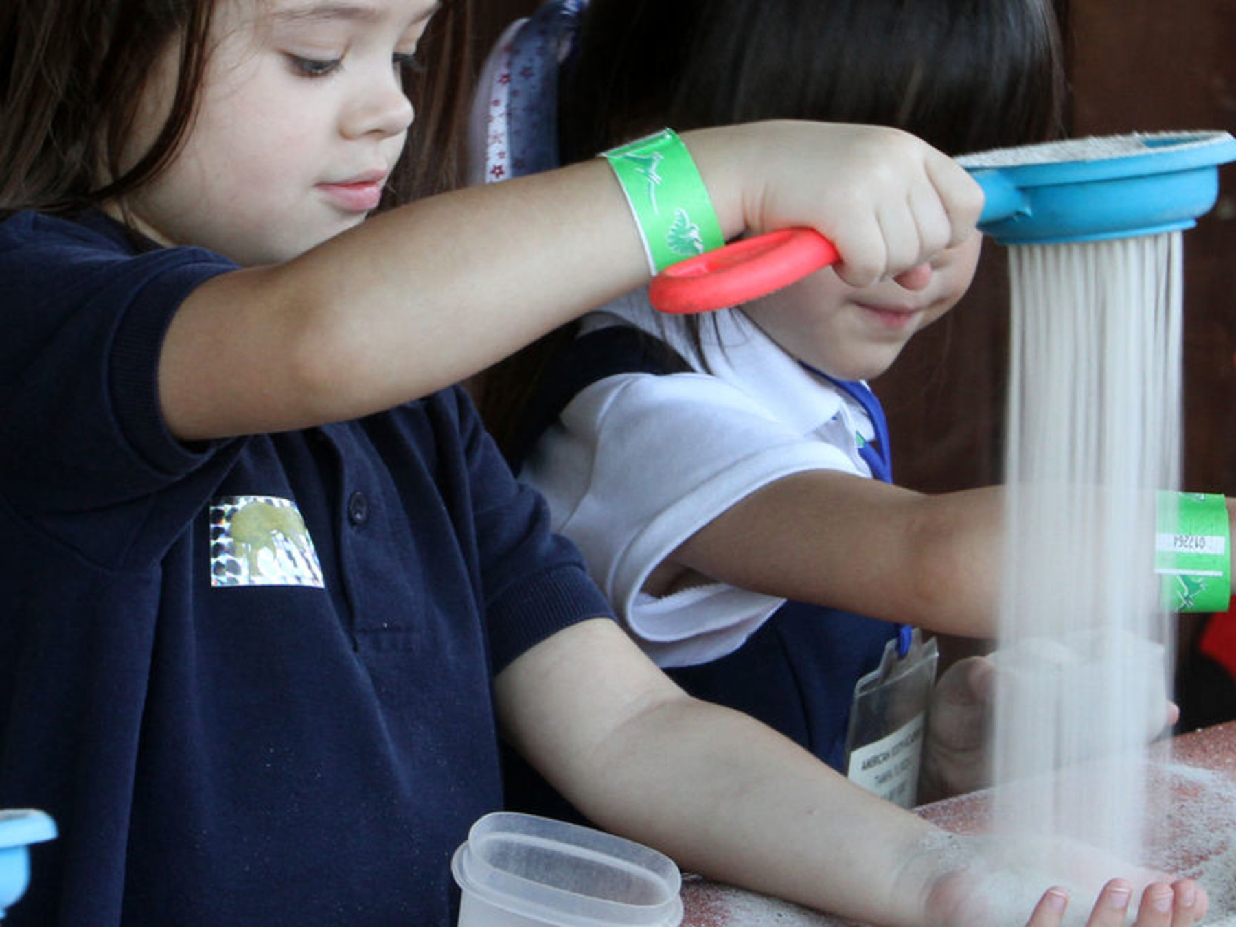 Fossil Dig with Sand