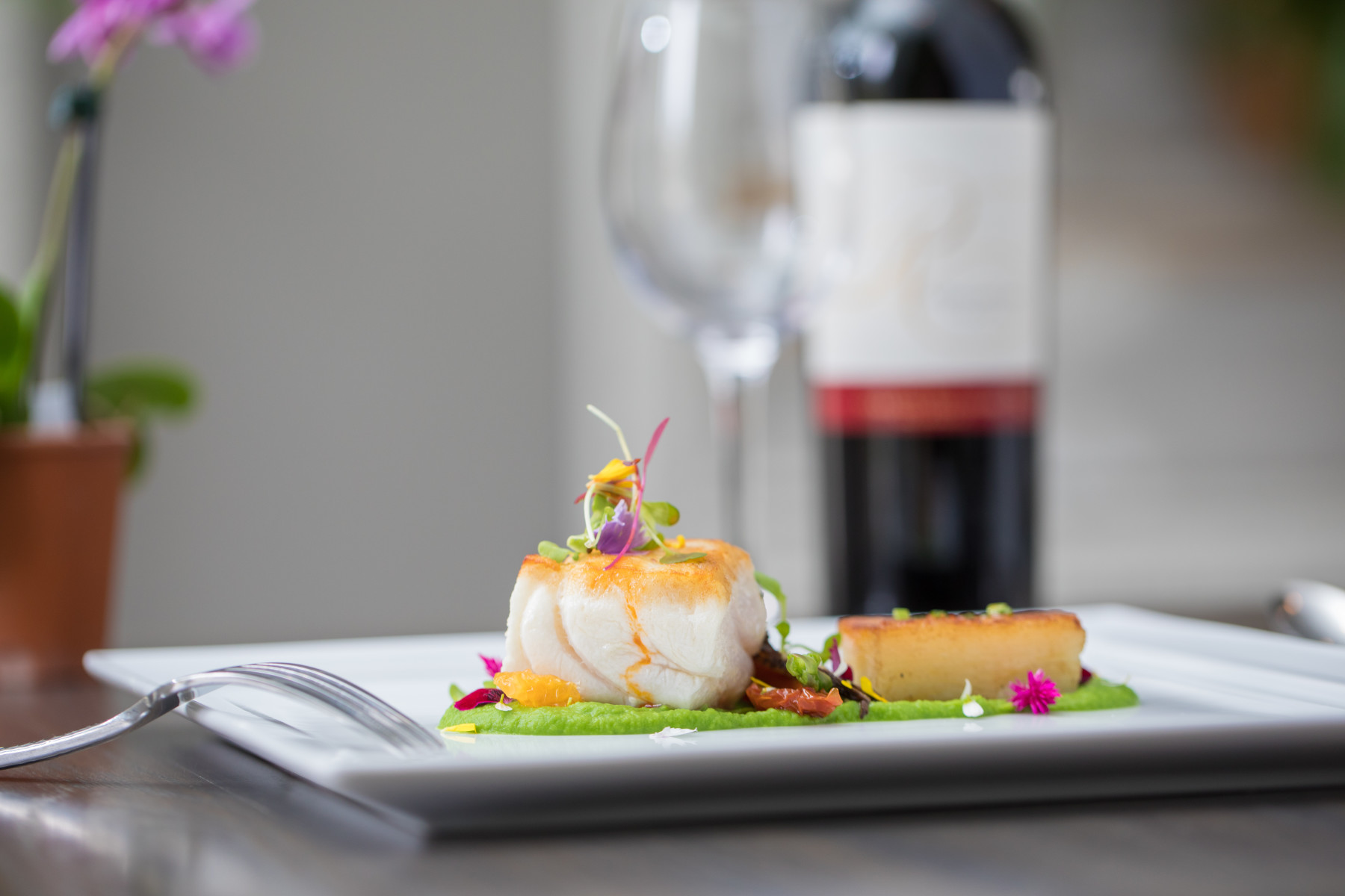 Food Photography
