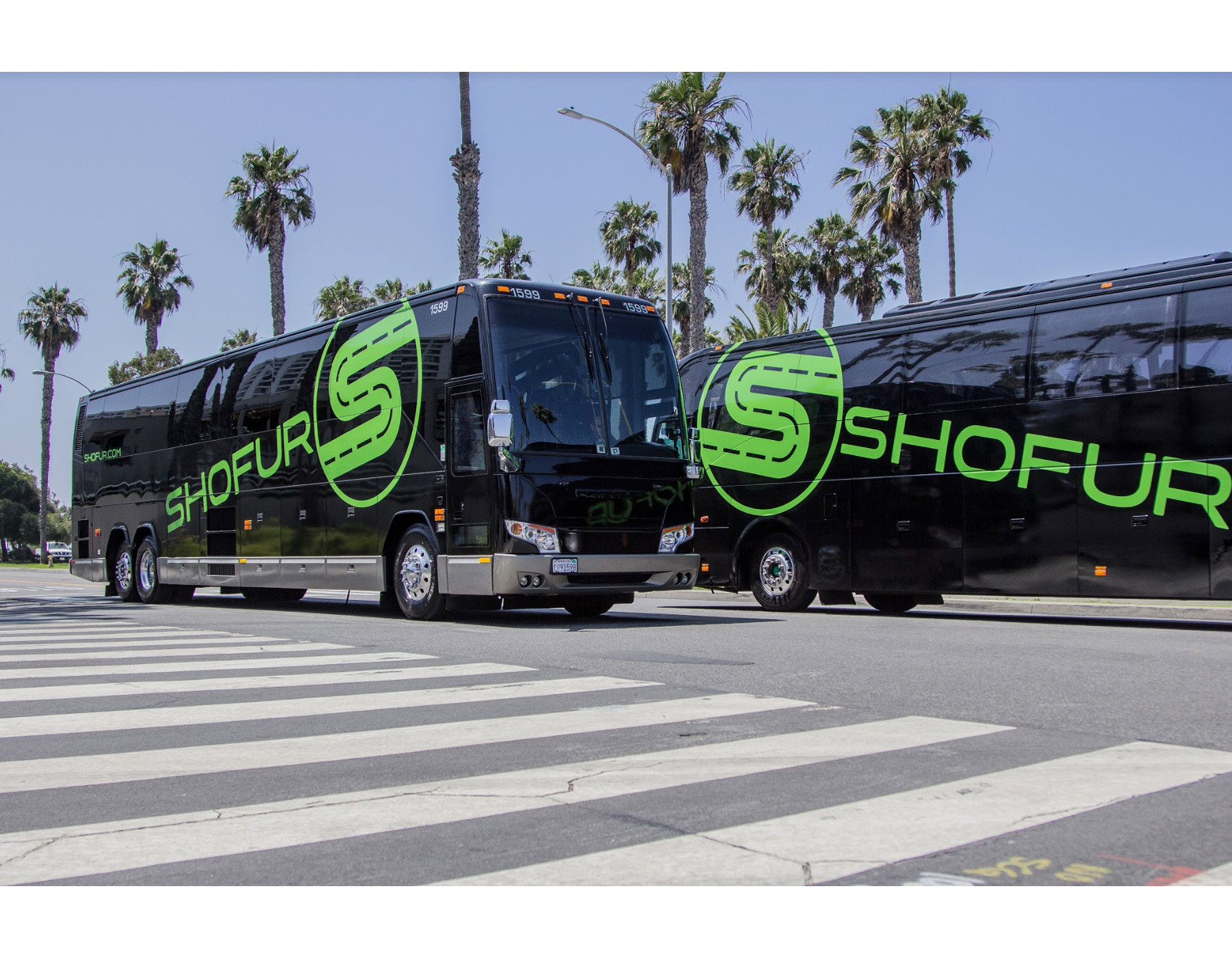 Shofur's bus transportation