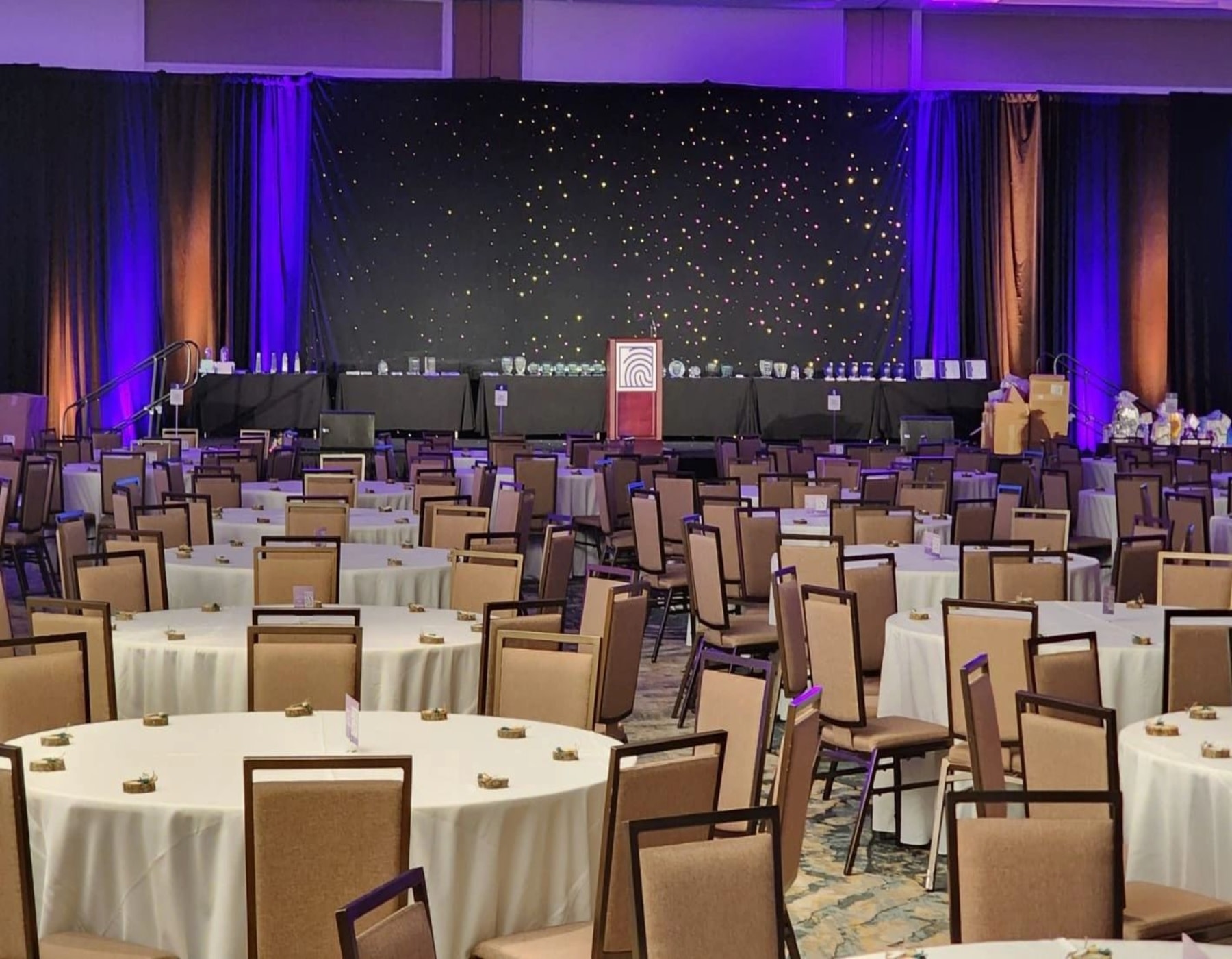 Awards/Gala with Galaxy drape