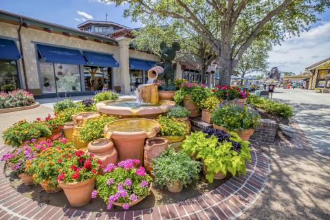 Elaborate water feature with flowers at Disney Springs