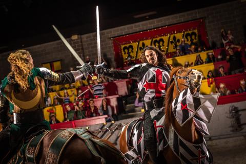 Two knights sword-fighting on the backs of horses at Medieval Times Dinner & Tournament