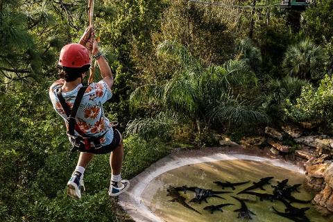 A person ziplines over a pond with alligators in Gatorland.