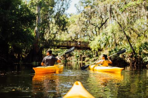 Kayaking pristine Shingle Creek in Kissimmee