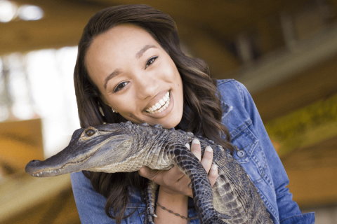 A smiling woman gently holds a small alligator during an up-close wildlife encounter.