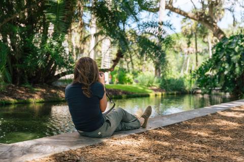 A person sits along the edge of a shaded waterway, photographing the lush greenery at Bok Tower Gardens.