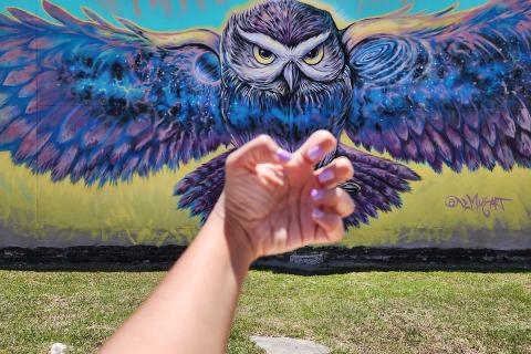 A colorful owl mural in Kissimmee with a person playfully posing their hand in front of it.