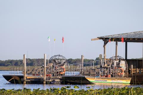Airboats docked at Wild Florida on a calm morning, ready to take visitors on scenic rides through the headwaters of the Everglades.