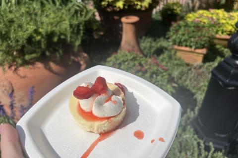 Lemon Ricotta Cheesecake with Vanilla Cream and Strawberry Compote at Italy Booth at Epcot Food & Wine Festival