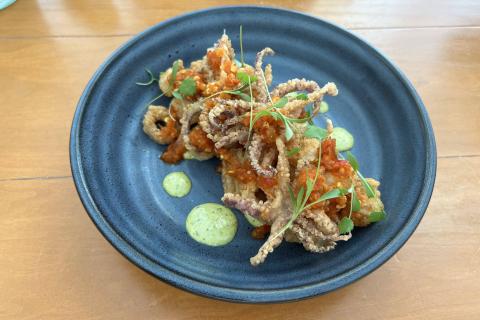 Calamari dinner dish at MOOR at Gaylord Palms Resort.