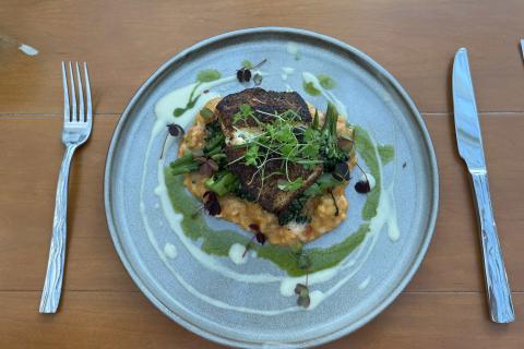 Grouper dinner dish at MOOR at Gaylord Palms Resort. 