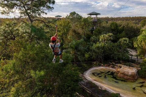 A person ziplines over a pond full of alligators
