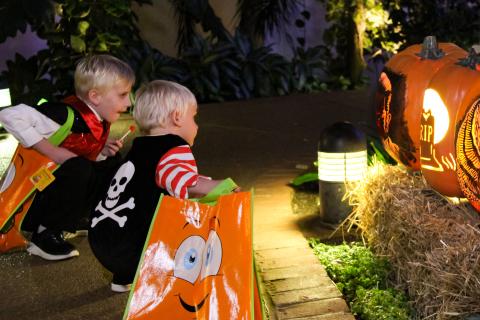 Two young children in Halloween costumes admire intricately carved jack-o'-lanterns glowing at night during a family-friendly trick-or-treat event at Gaylord Palms Resort.