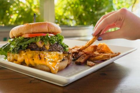 The Gold Buckle Hamburger is stacked on a fluffy hamburger bun and lots of melted cheese and fresh green lettuce and sliced tomatoes are visible. It is held together with a wooden pick. To the right of the burger is a person picking up one of the thick seasoned home fries. The food is on a white square plate on a dark wooden table with a window overlooking lots of greenery as a backdrop.
