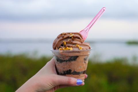 A person with purple painted nails holds a bizcochado against Lake Toho as a backdrop. The backdrop is a blue sky with marshy green greenery. The bizcochado is in a small, clear plastic cup, and it's a swirl of chocolate frozen dessert and chocolate sponge cake. It is topped with chopped nuts and a pink plastic spoon.
