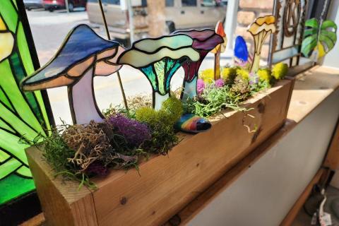 Women-owned business in downtown St. Cloud