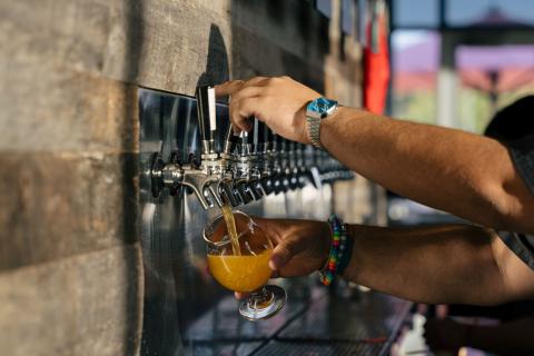 A bartender pours a beer at Celebration Brewing Co.