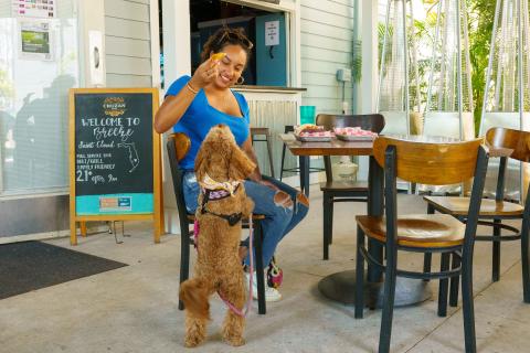 A woman sitting at an outdoor restaurant table in St. Cloud, Florida, playfully feeding her small brown dog wearing a colorful bandana.