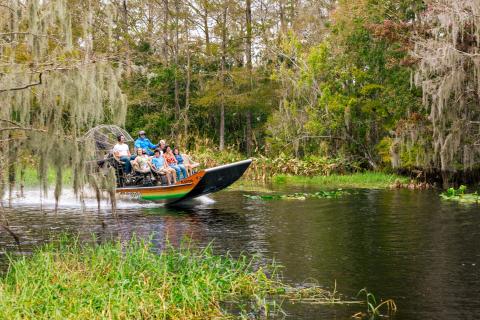 An airboat glides through the Everglades at Wild Florida, carrying visitors past cypress trees and waterways.