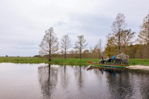 Airboat gliding through cypress trees and wetlands at Wild Florida in Kissimmee, Florida.
