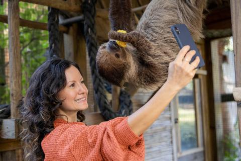 Woman takes a selfie with a sloth eating corn at Wild Florida Adventure Park in Osceola County, just a short drive from Kissimmee, Florida.