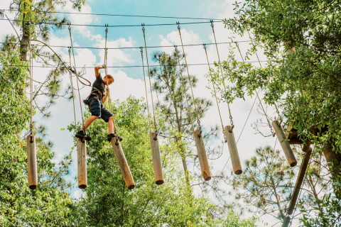 Young boy crosses a suspended log bridge high above the ground on an outdoor ropes course surrounded by trees at Tree Trek Adventure Park.