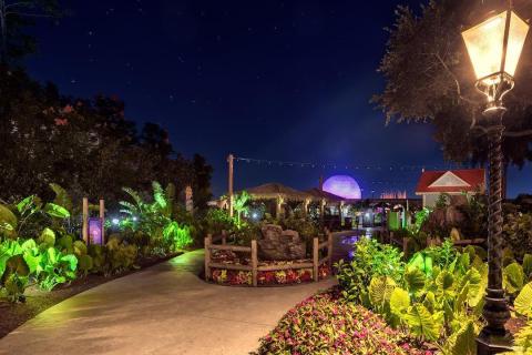 Epcot International Flower & Garden Festival gardens at night