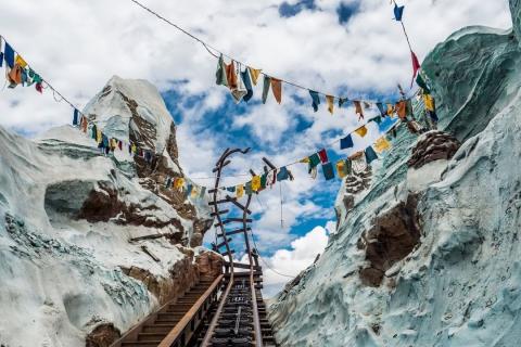 An action shot from the Expedition Everest ride
