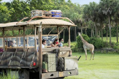 Guests enjoy a safari ride at Disney’s Animal Kingdom, observing a giraffe grazing in the distance surrounded by palm trees and lush greenery.