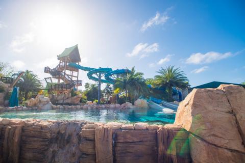 Bright day view of the Dolphin Plunge water slide at Aquatica Orlando, surrounded by palm trees and a clear blue pool.