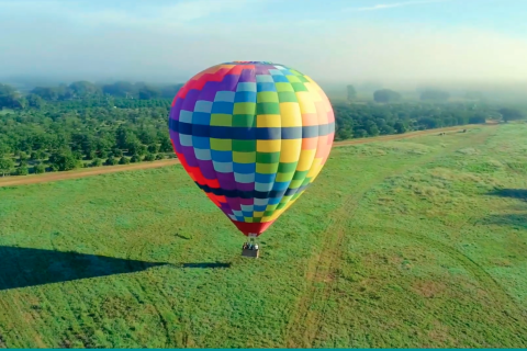 A colorful hot air balloon floats low over a wide green field on a clear morning, with light fog in the distance and trees lining the horizon.