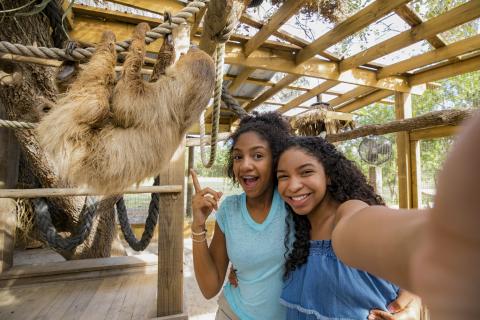 Two smiling girls take a selfie beside a sloth hanging from ropes in an outdoor wildlife enclosure.