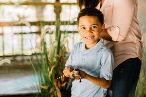 Smiling young boy in a light blue shirt gently holding a small alligator during an interactive wildlife experience, with an adult standing behind him.